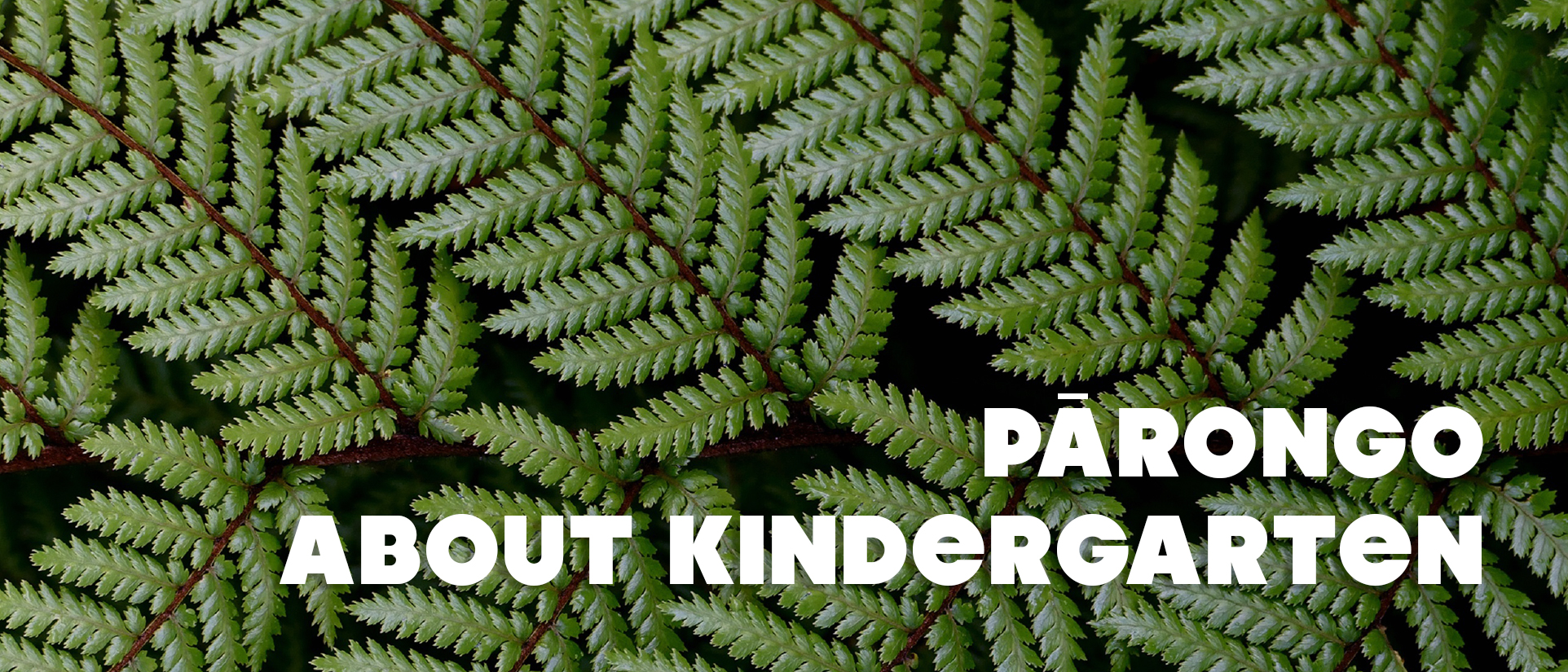 About Kindergarten | Kidsfirst Kindergartens